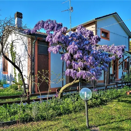 B&B La Mia Oasi-2